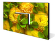 Wall Mount 47 Inch 4.9mm narrow bezel LCD Video Wall Advertising  Screens 1920x1080P Companies